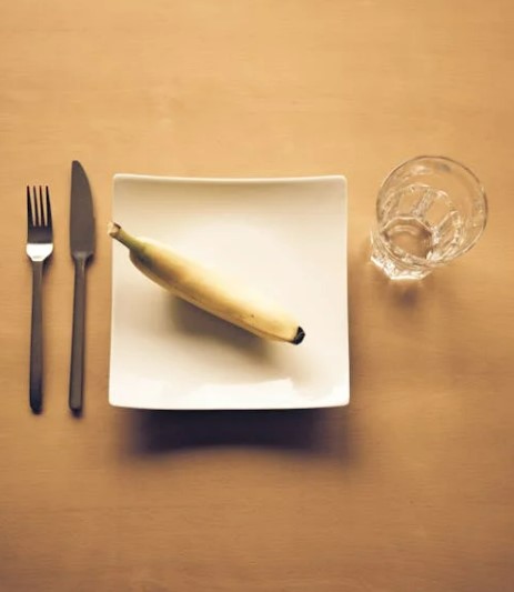 2025 다이어트 보조제 추천 TOP3, 진짜 효과 본 후기 정리