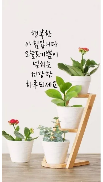 아침인사 이쁜글 다운로드_25