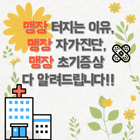 맹장 터지는 이유