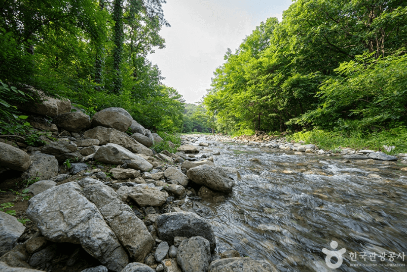 포천 지장산계곡