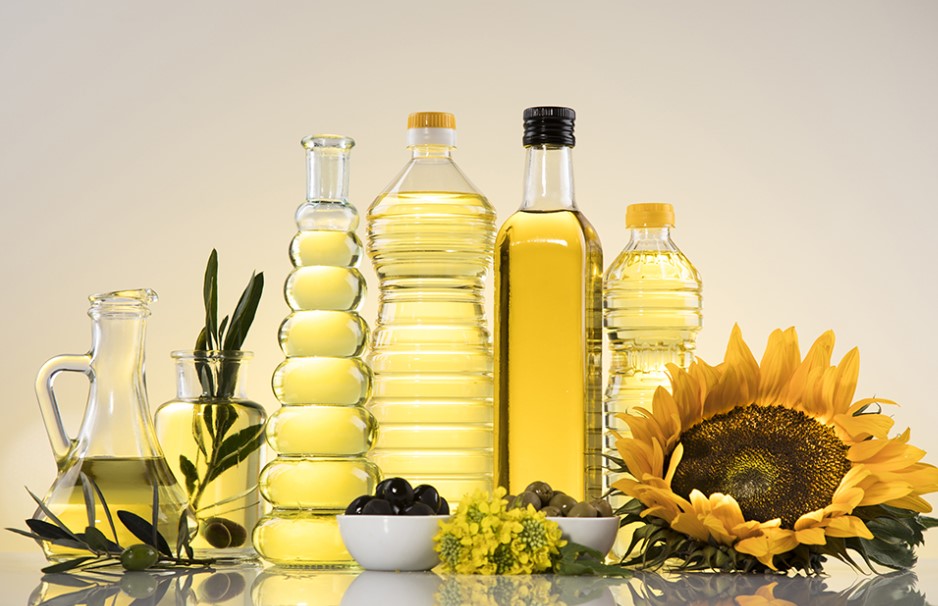 태백해바라기축제