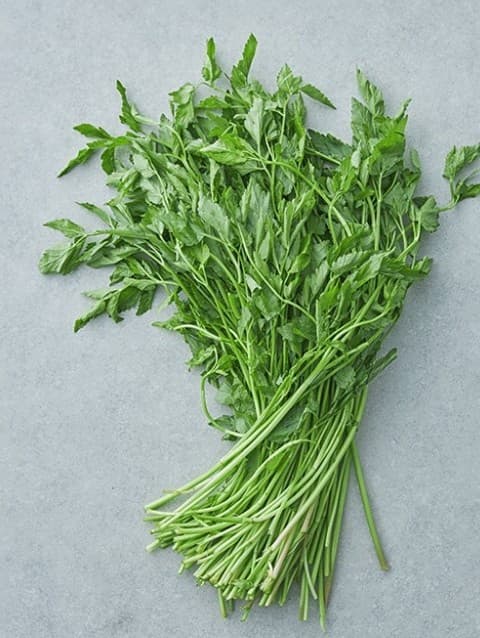 미나리의 효능과 건강에 미치는 영향