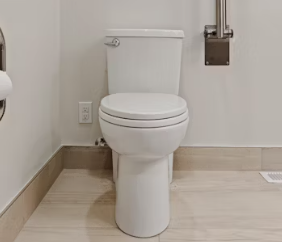 만성 방광염 증세 증상 원인 재발방지법