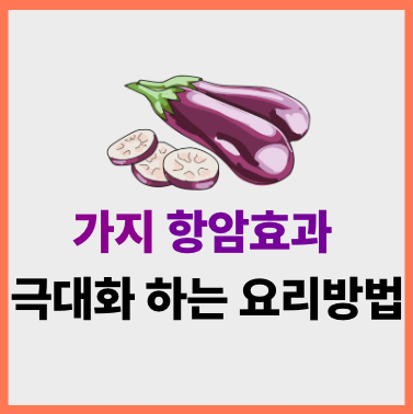 가지 항암효과 극대화하는 요리법