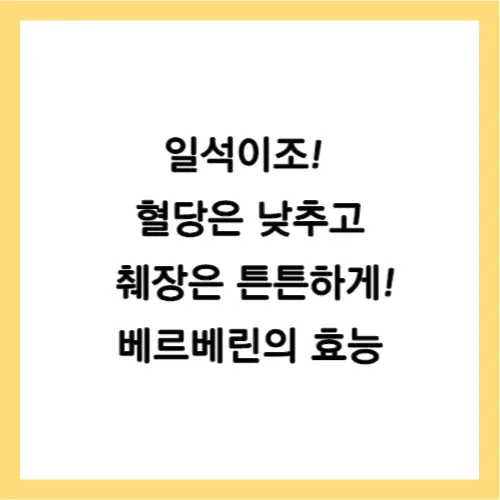 췌장과 혈당 베르베린