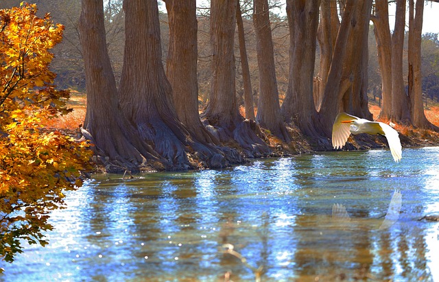 공익직불금 신청하기