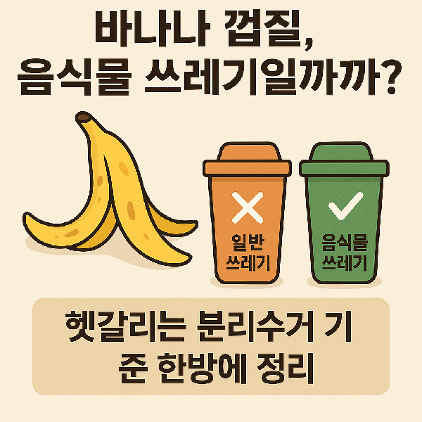 바나나 껍질, 음식물 쓰레기일까 아닐까?|헷갈리는 분리수거 기준 한방에 정리