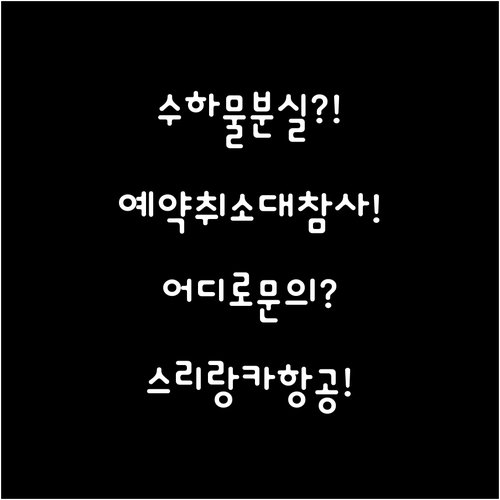 스리랑카항공 수하물 분실 및 예약 취..