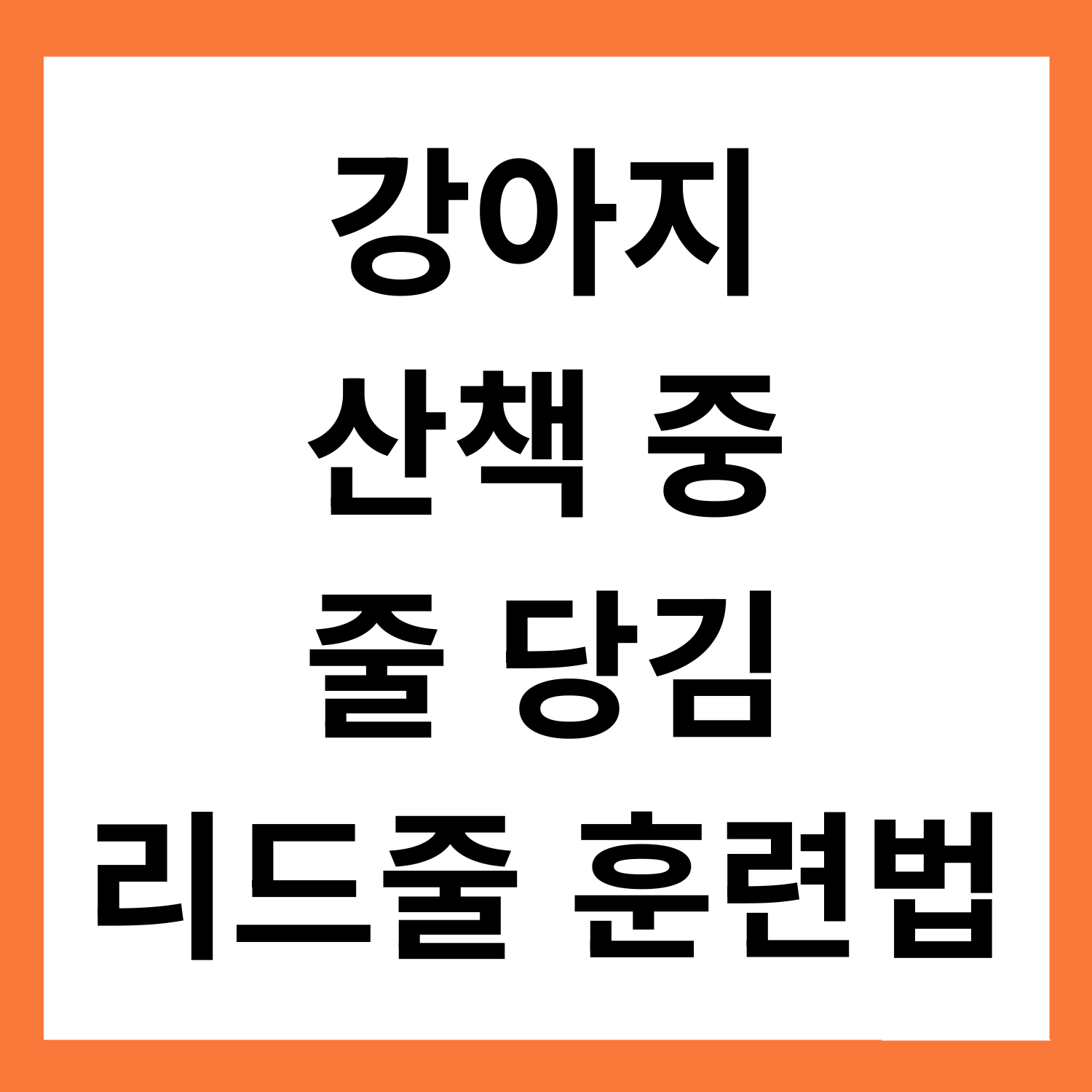 강아지가 산책 때 줄 당겨요… 리드줄 훈련법 완벽 가이드