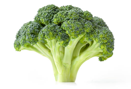 브로콜리