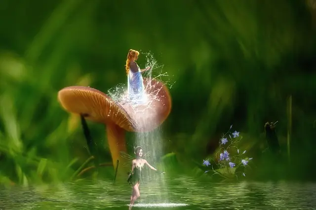 산국제매직페스티벌 크리스마스 특집 매직 갈라쇼