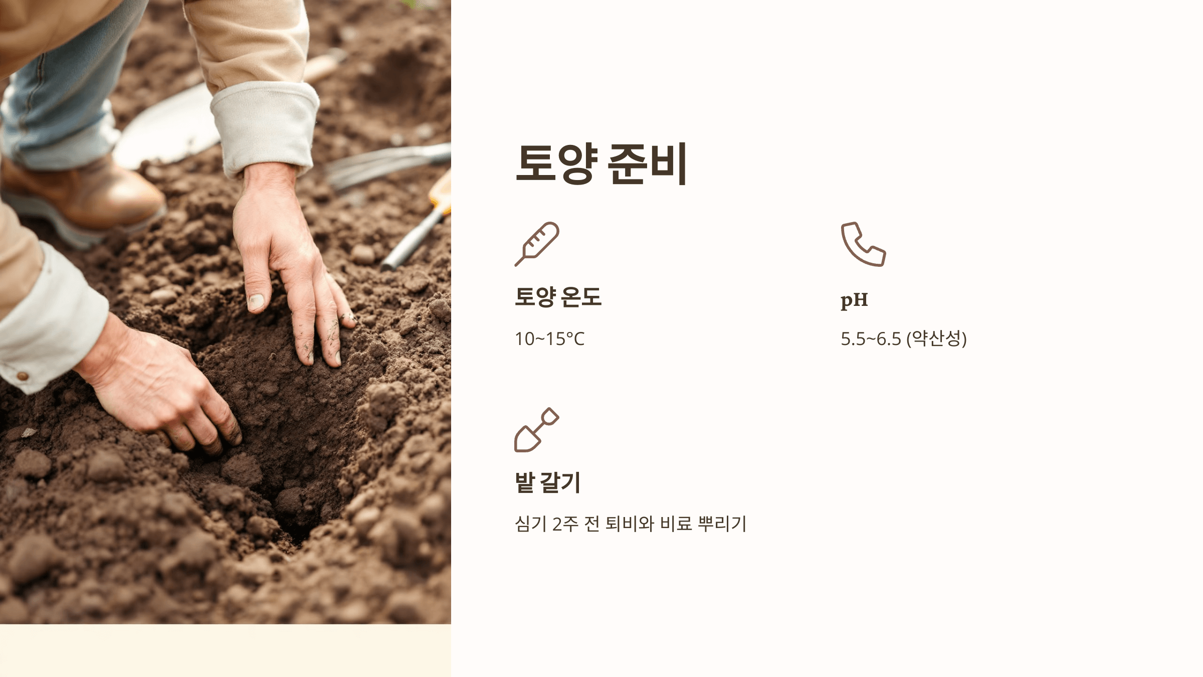 감자 사진입니다.