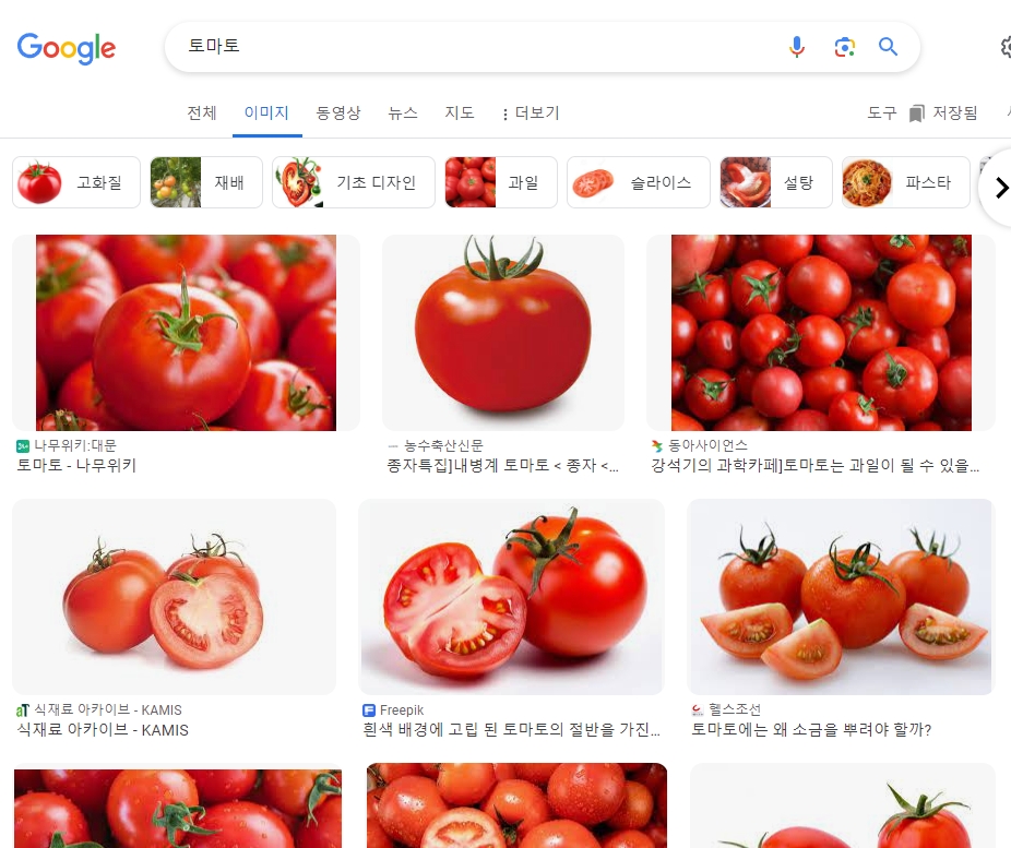 숙취 해소에 좋은 신선한 토마토