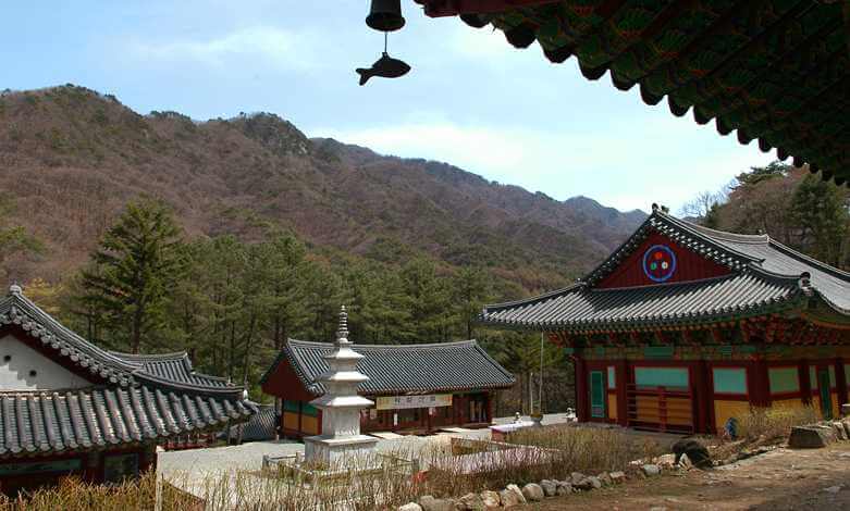 2025/2026 오크밸리 스키장 시즌권·리프트권 완벽 가이드(개장일 확정)