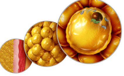 중성지방 낮추는 방법, 중성지방 정상수치