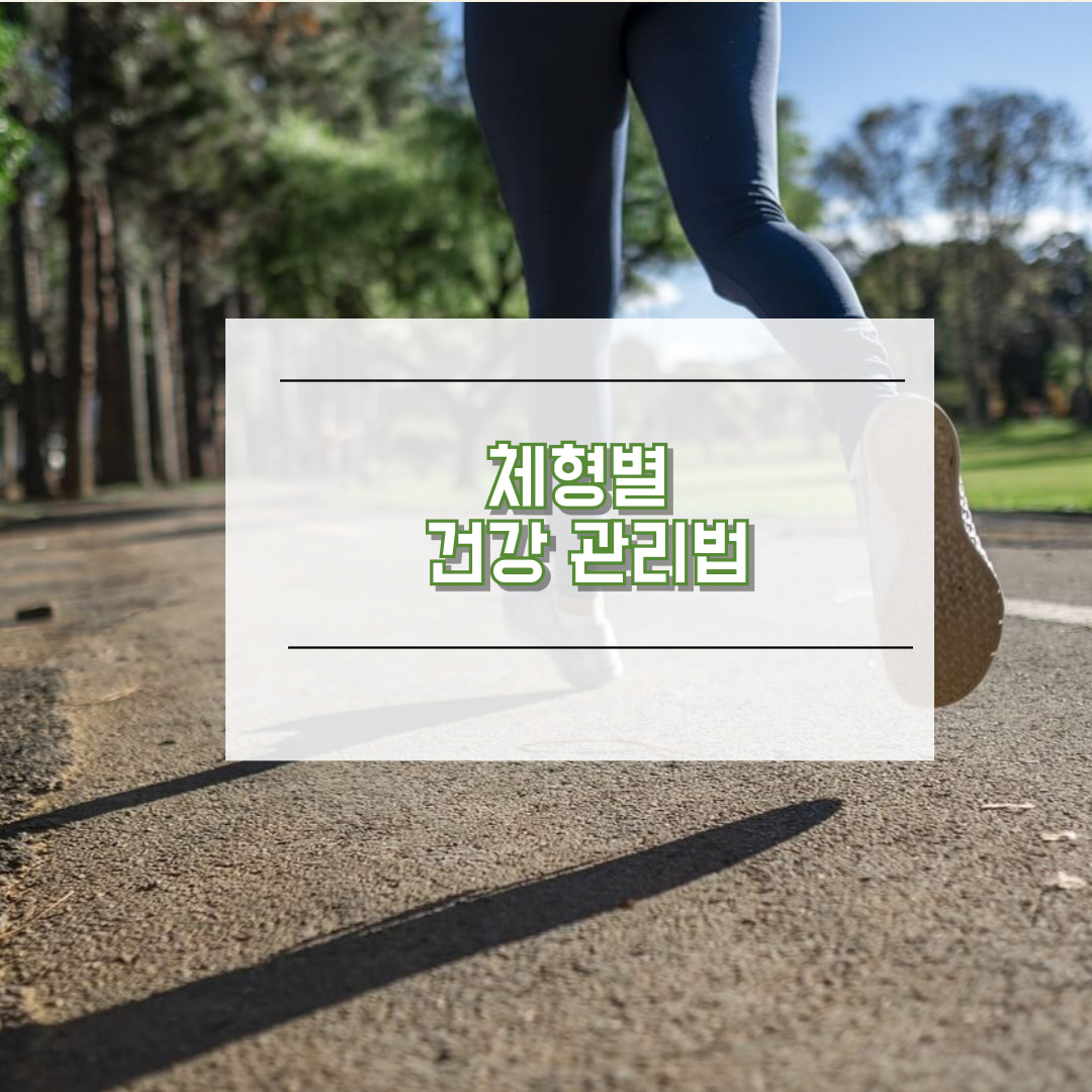 체형별 건강 관리법