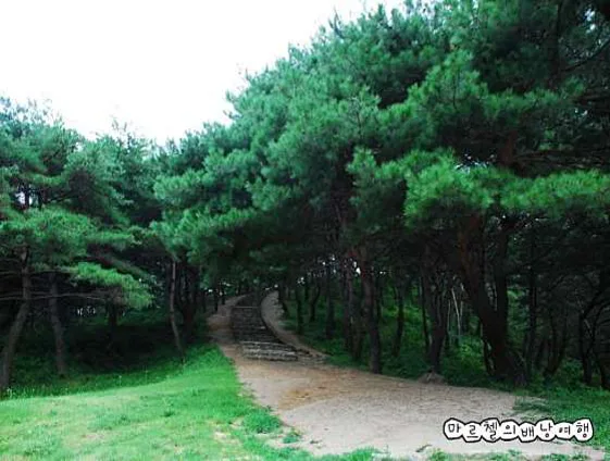 성주성산동고분군