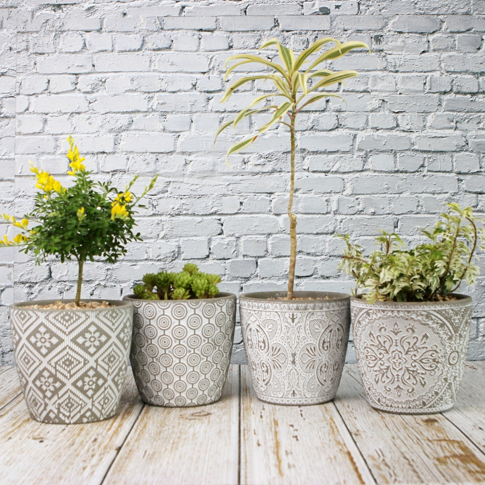 화분 컬러 매치