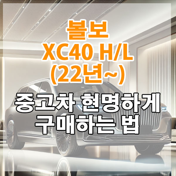 볼보 XC40 H/L (22년~) 중고차 현명하게 구매하는 법