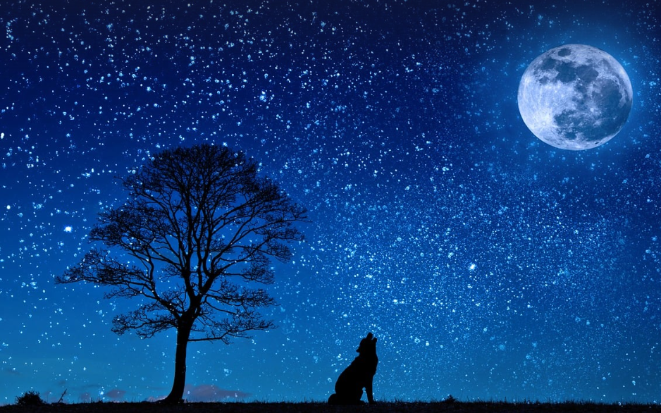 태양풍과 달의 환경 변화