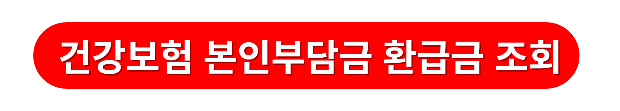 건강보험 본인부담금 환급금 조회