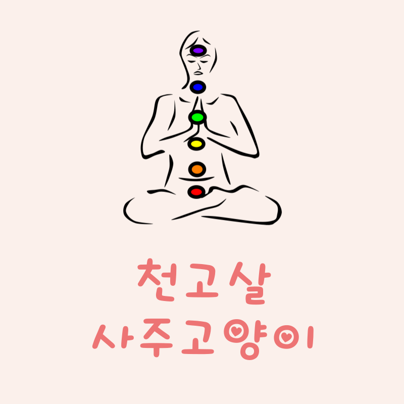 천고살이란