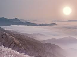 2026년 병오년 원숭이띠 신년운세 정리