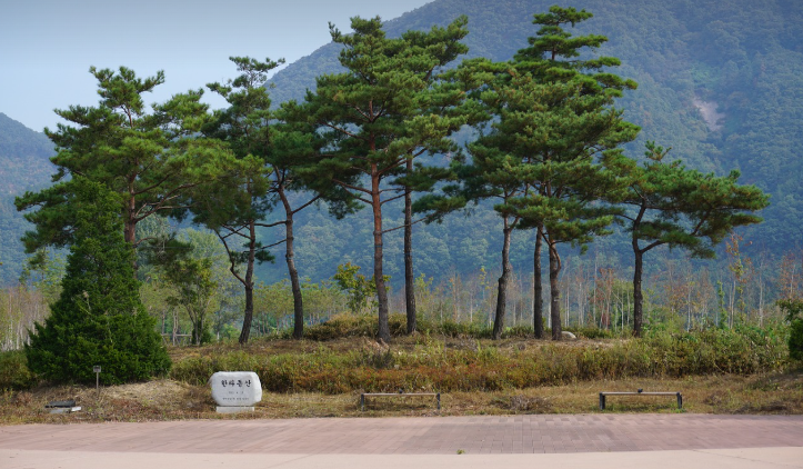 춘천 자라섬
