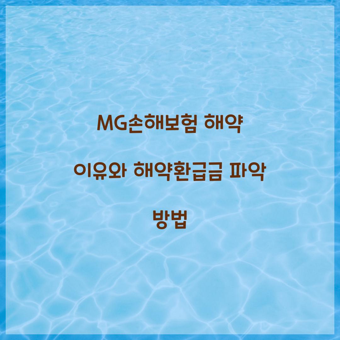 MG손해보험 해약