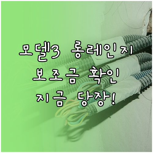 테슬라 모델 3 롱레인지 RWD 전기..