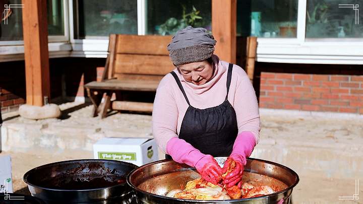 이만기 동네한바퀴 강원도 명태김치 전국택배 전화 온라인 주문 양양식 명태 김치 강원 양양 맛집 소개