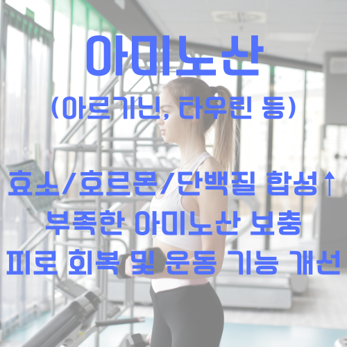 간기능 개선제 아미노산