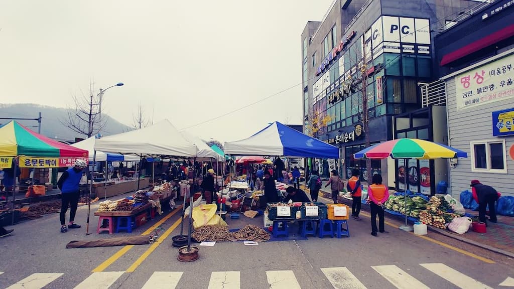 산나물 장터 전경