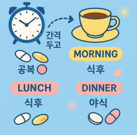 영양제 + 커피, 공복, 야식… 먹는 타이밍의 비밀