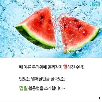 수박껍질 음식물쓰레기 헷갈리는 분들을 위한 정확한 정리_15