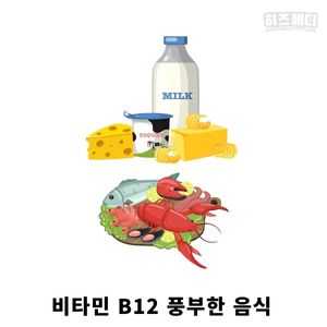 노인 빈혈 원인 관리