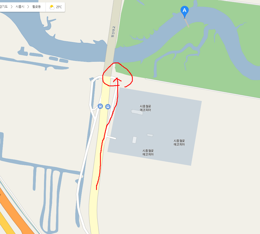 미생의다리 위치