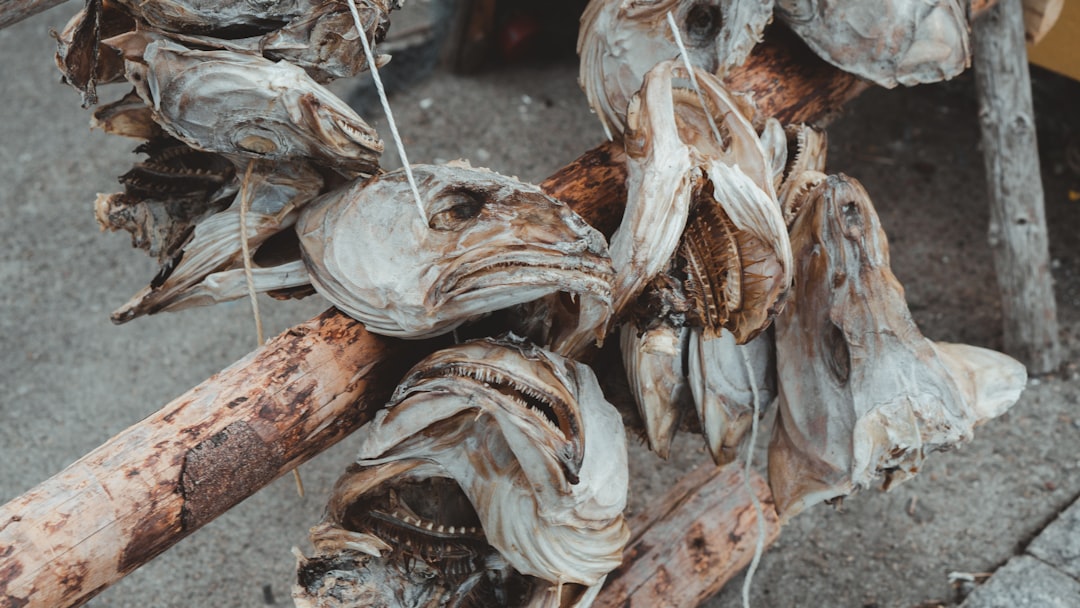 황태채 (dried pollack)