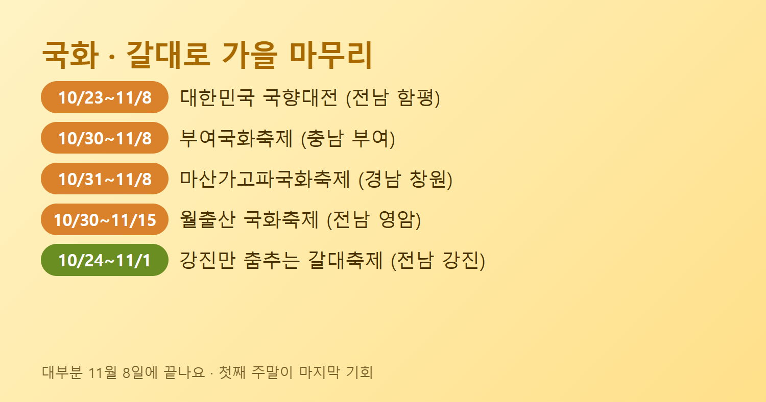 11월 국화축제 일정 함평 부여 창원 영암