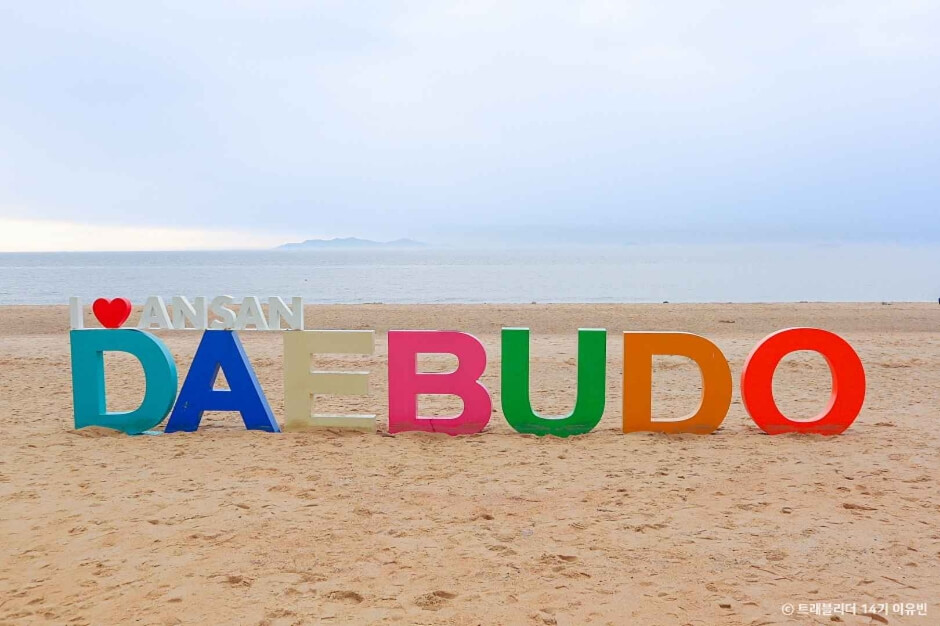 서해안 반려견 겨울 나들이 명소, 강아지와 함께 걷기 좋은 바다 산책