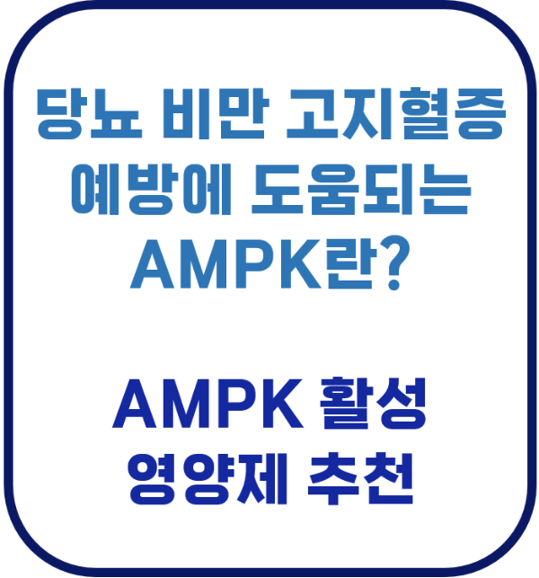 AMPK 당뇨 비만 고지혈증 효소 커큐민 레스베라트롤 카테킨 베르베린 돌외 잎 추출물 액티포닌 라이프익스텐션 쏜 스완스 life extension swanson amp-k thorne poly resveratrol
