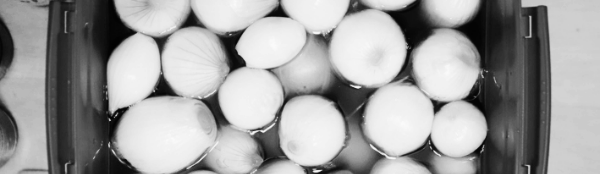 양파장아찌 황금비율 마무리