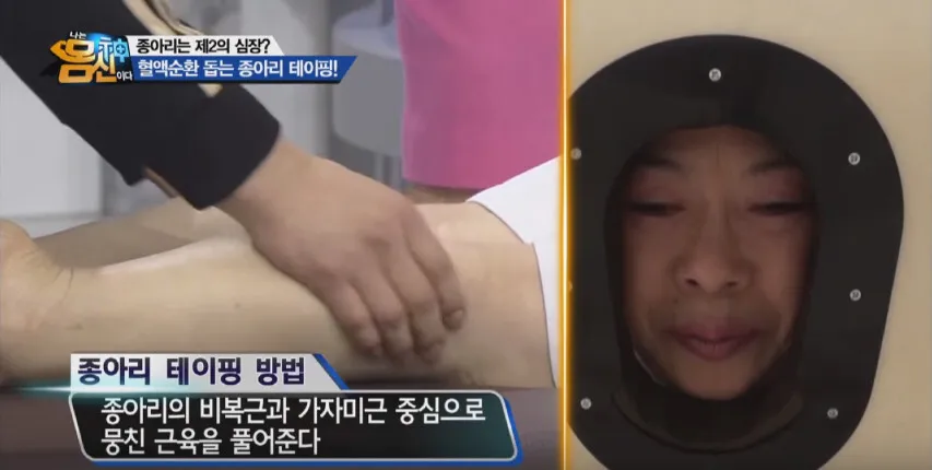 근육의 역할