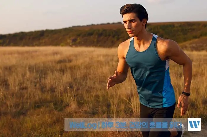 파비플로라 효능