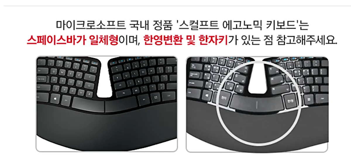 출처- ssg.com