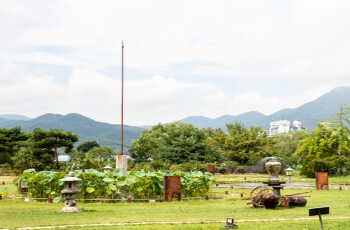 세미원 연꽃축제 연꽃문화제_12