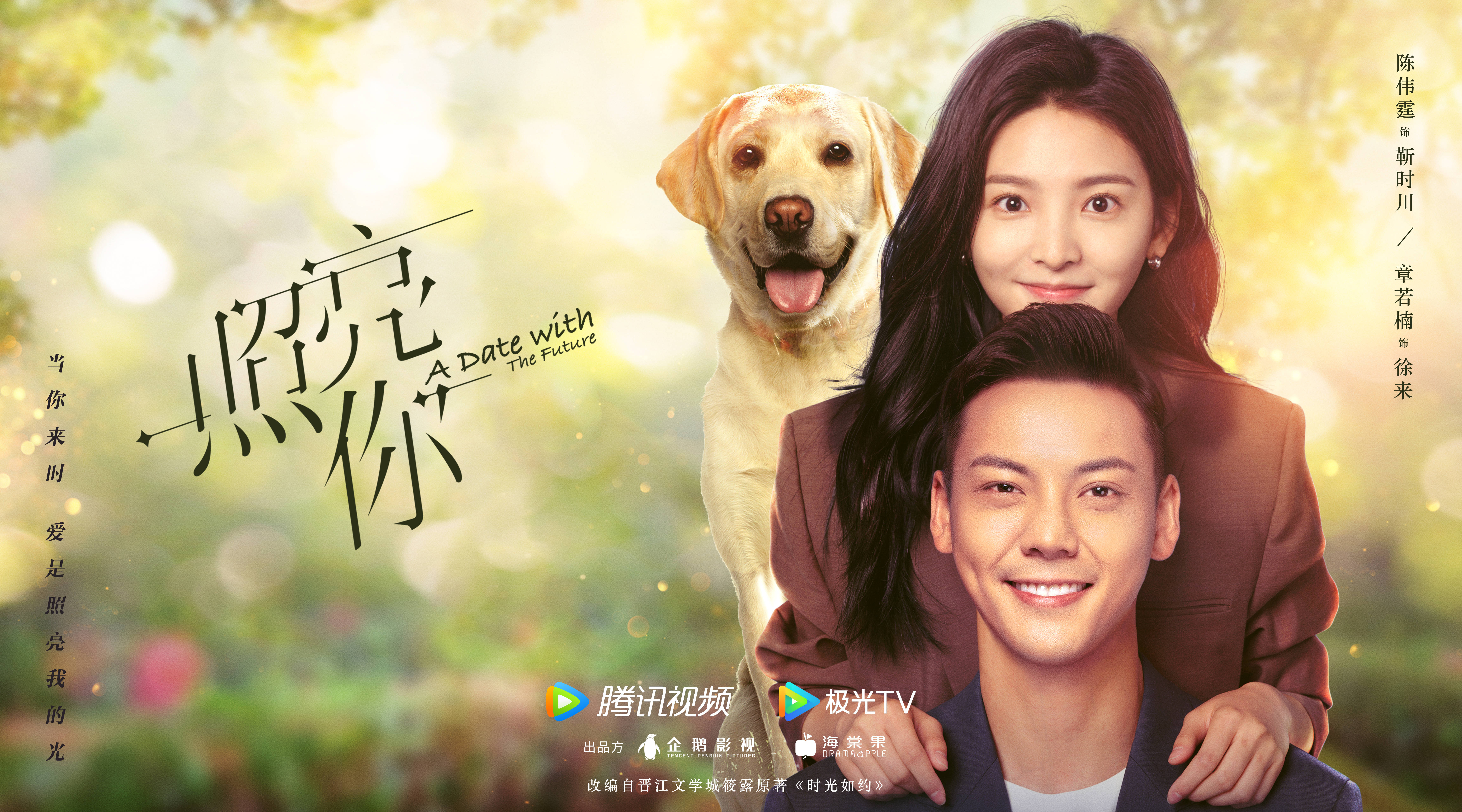 [다시보기 중드 조량니 추천] 줄거리 결말 등장인물 조로사 진위정, 장약남, 임호, 차사, 나추운, 쟈나이