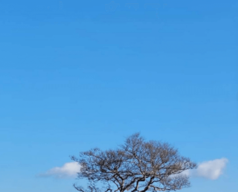 아름다운 하늘 사진