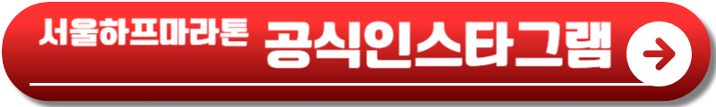서울하프마라톤 2025