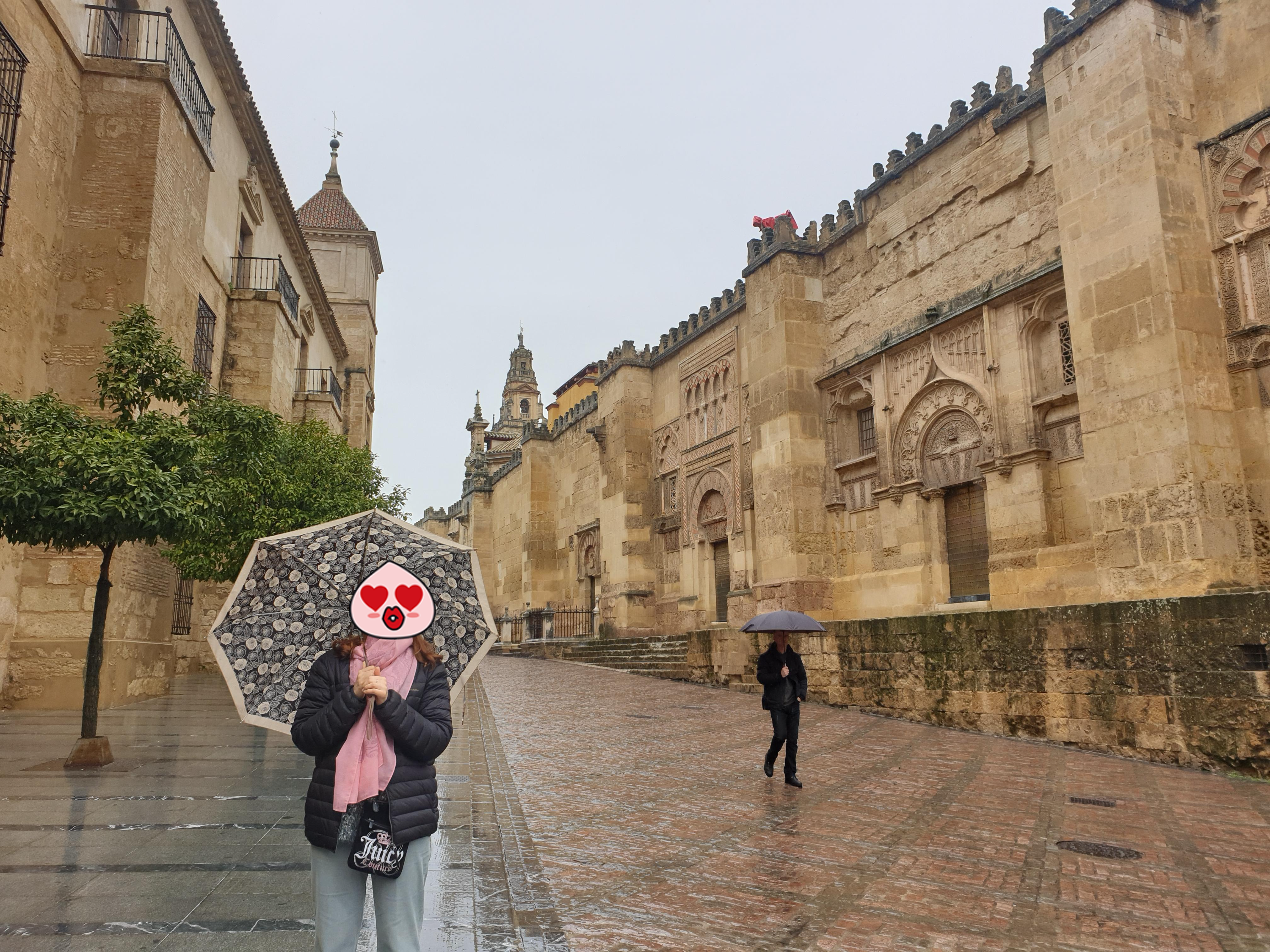 이미지-alt-태그-메스키타